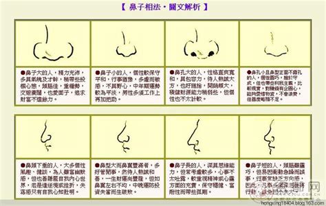 鼻子大 面相|面相入门